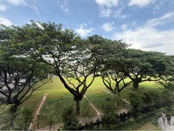 Tembusu Grand (D15), Condominium #531413441